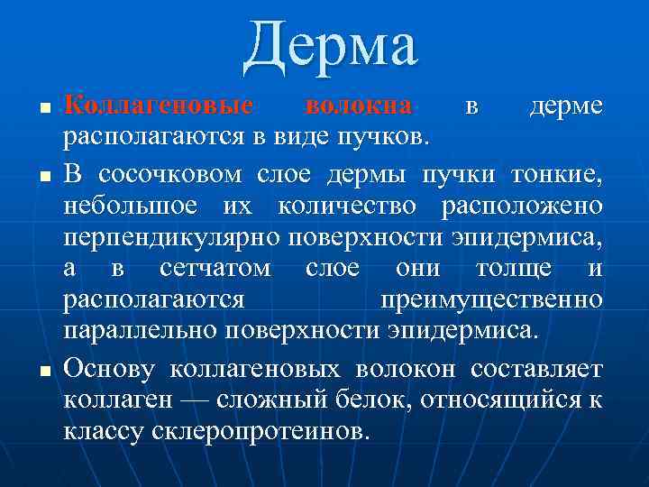 Дерма n n n Коллагеновые волокна в дерме располагаются в виде пучков. В сосочковом