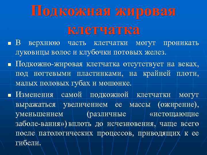 Подкожная жировая клетчатка n n n В верхнюю часть клетчатки могут проникать луковицы волос