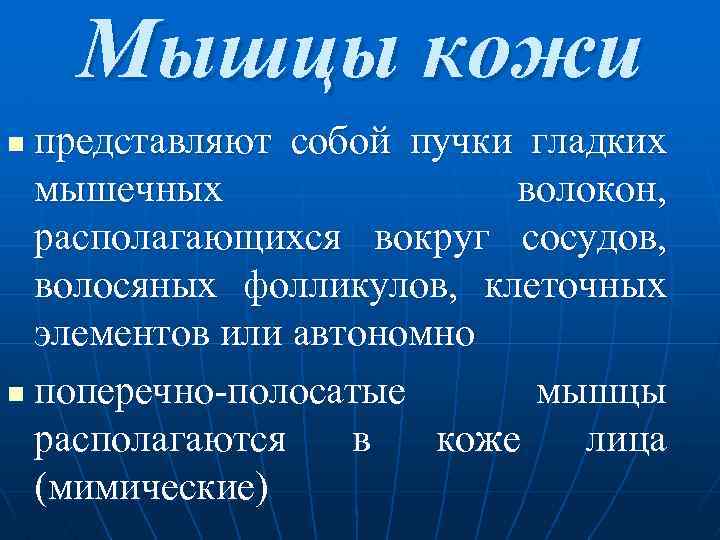 Мышцы кожи представляют собой пучки гладких мышечных волокон, располагающихся вокруг сосудов, волосяных фолликулов, клеточных