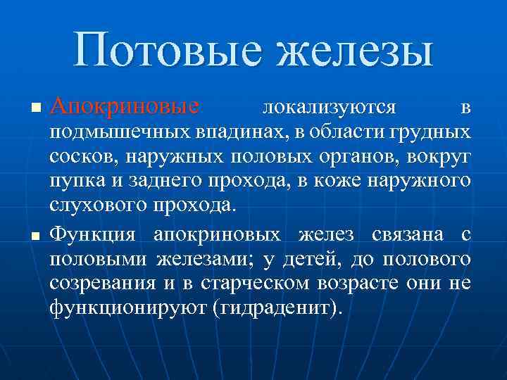 Потовые железы n n Апокриновые локализуются в подмышечных впадинах, в области грудных сосков, наружных