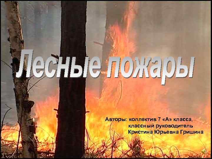  Авторы: коллектив 7 «А» класса, классный руководитель Кристина Юрьевна Гришина 