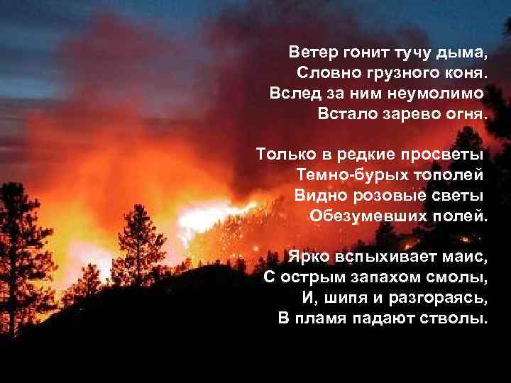 Ветер гонит тучу дыма, Словно грузного коня. Вслед за ним неумолимо Встало зарево огня.