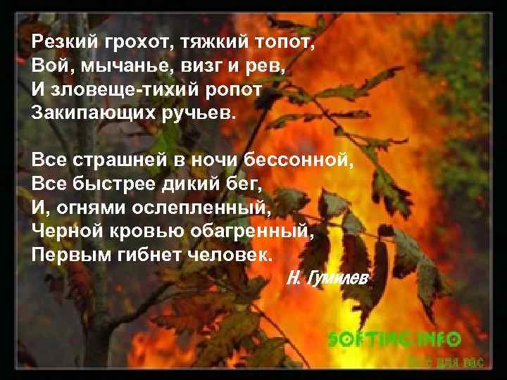 Резкий грохот, тяжкий топот, Вой, мычанье, визг и рев, И зловеще-тихий ропот Закипающих ручьев.