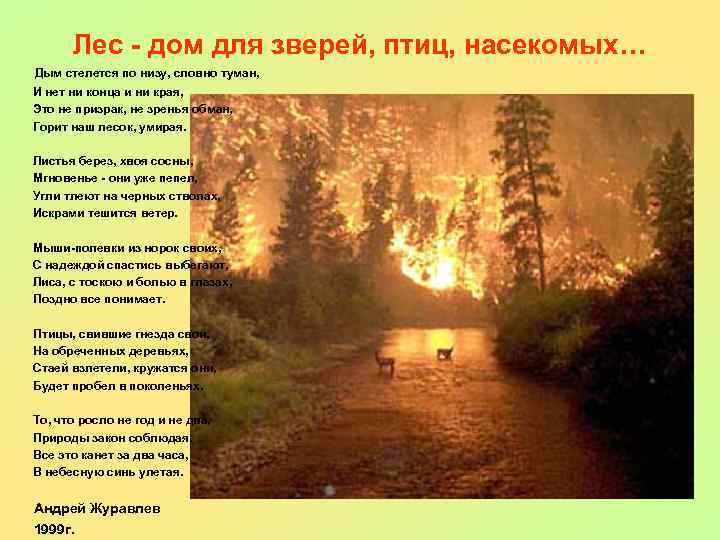 Лес - дом для зверей, птиц, насекомых… Дым стелется по низу, словно туман, И
