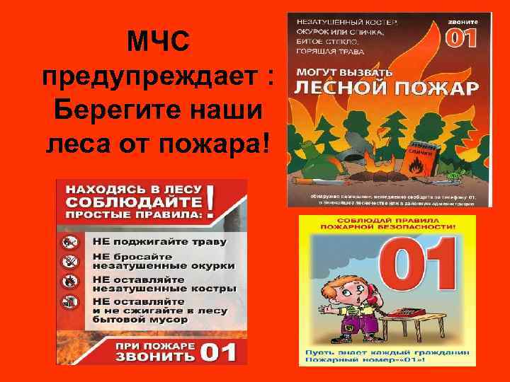 МЧС предупреждает : Берегите наши леса от пожара! 