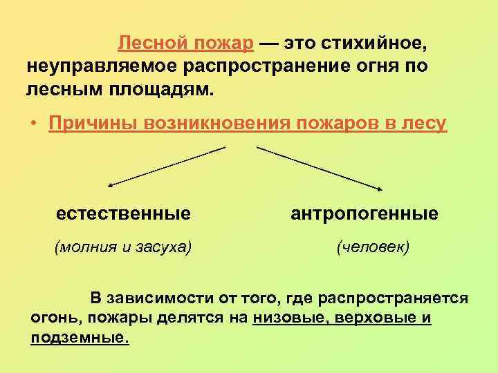  Лесной пожар — это стихийное, неуправляемое распространение огня по лесным площадям. • Причины