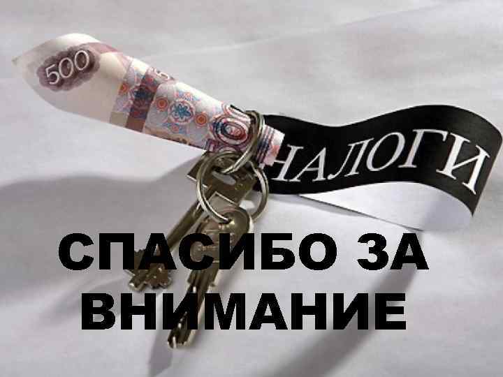 СПАСИБО ЗА ВНИМАНИЕ 