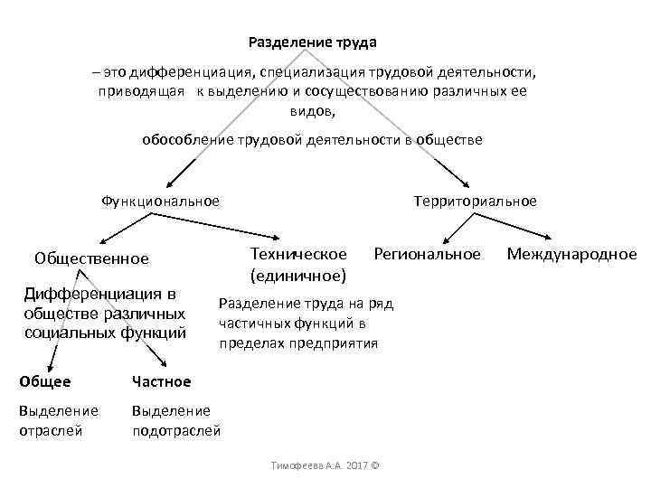 Разделение труда – это дифференциация, специализация трудовой деятельности, приводящая к выделению и сосуществованию различных