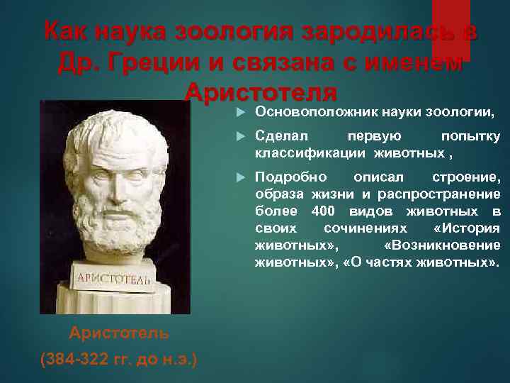 Как наука зоология зародилась в Др. Греции и связана с именем Аристотеля (384 -322