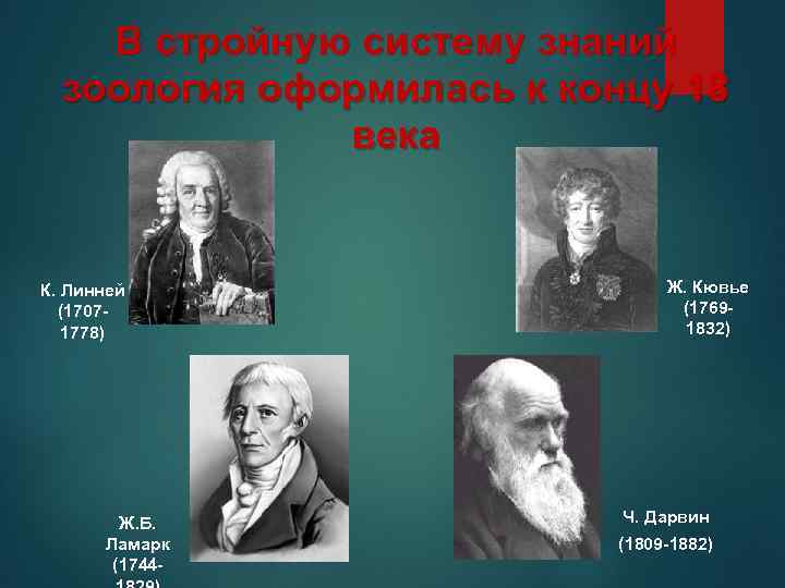 В стройную систему знаний зоология оформилась к концу 18 века К. Линней (17071778) Ж.