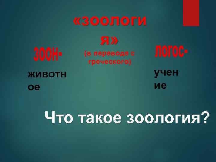  «зоологи я» (в переводе с греческого) животн ое учен ие Что такое зоология?