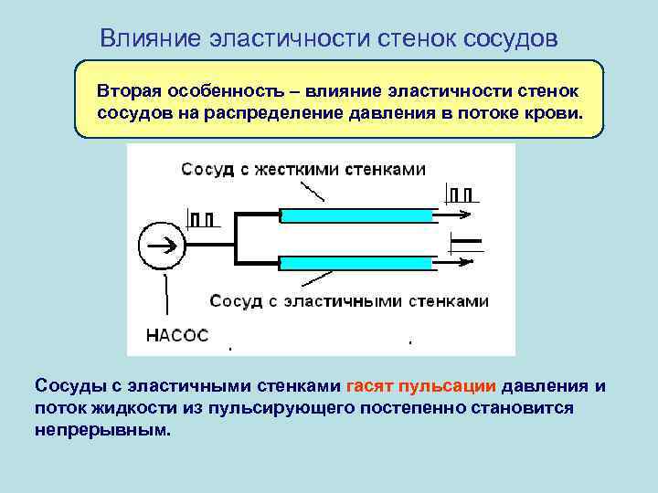 Эластичность сосудов