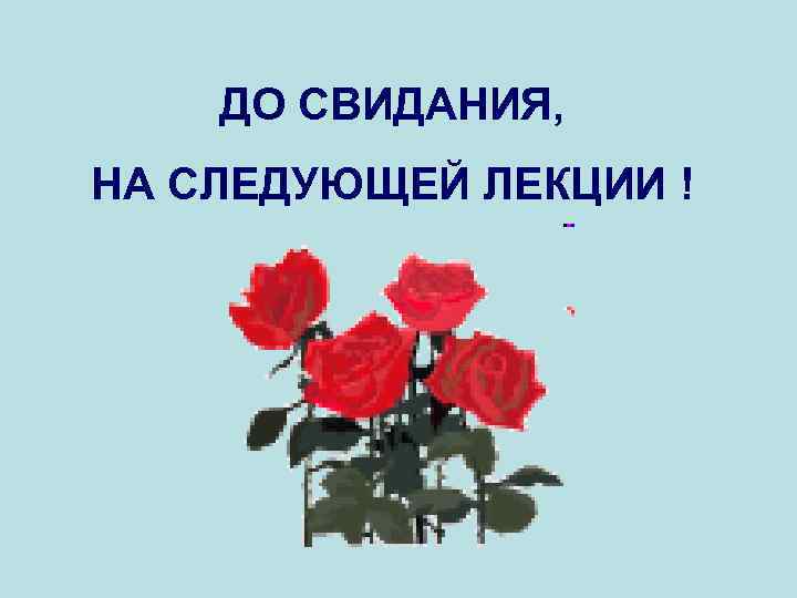 ДО СВИДАНИЯ, НА СЛЕДУЮЩЕЙ ЛЕКЦИИ ! 