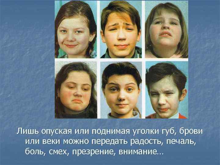 Лишь опуская или поднимая уголки губ, брови или веки можно передать радость, печаль, боль,