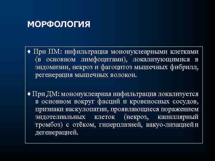 МОРФОЛОГИЯ ♦ При ПМ: инфильтрация мононуклеарными клетками (в основном лимфоцитами), локализующимися в эндомизии, некроз
