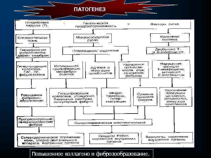 ПАТОГЕНЕЗ Повышенное коллагено и фиброзообразование. 