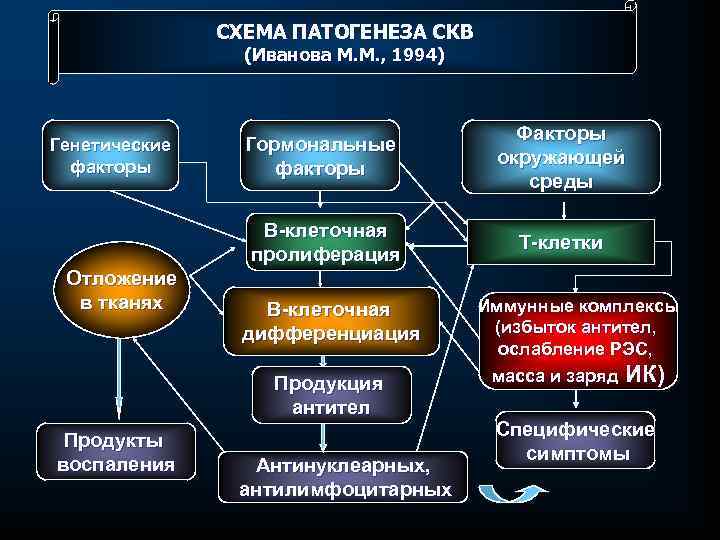СХЕМА ПАТОГЕНЕЗА СКВ (Иванова М. М. , 1994) Отложение в тканях Гормональные факторы Факторы