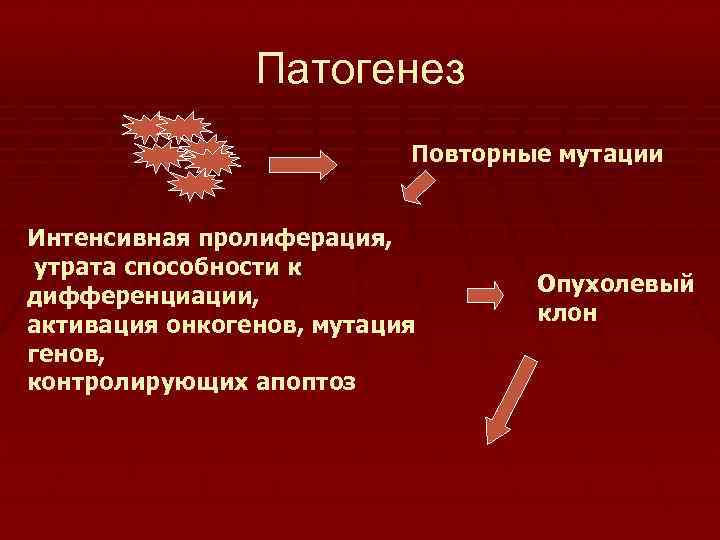 Патогенез Повторные мутации Интенсивная пролиферация, утрата способности к дифференциации, активация онкогенов, мутация генов, контролирующих