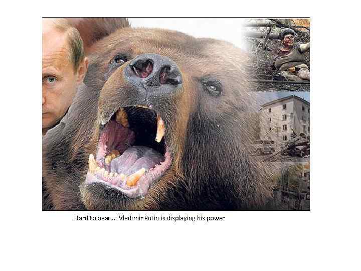 Hard to bear. . . Vladimir Putin is displaying his power 