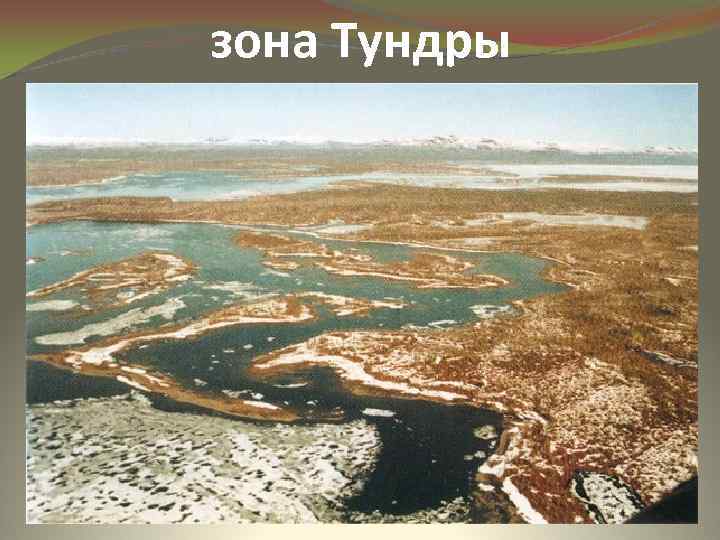 зона Тундры 