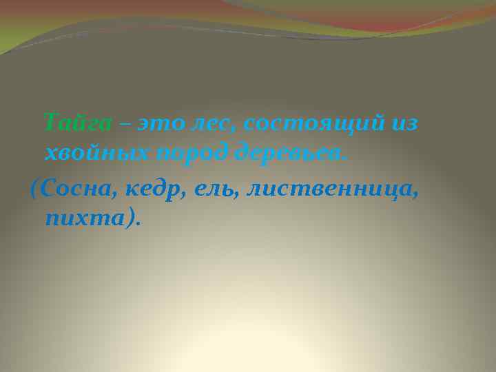 Тайга – это лес, состоящий из хвойных пород деревьев. (Сосна, кедр, ель, лиственница, пихта).