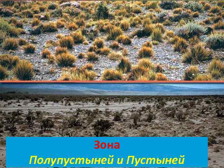 Зона Полупустыней и Пустыней 