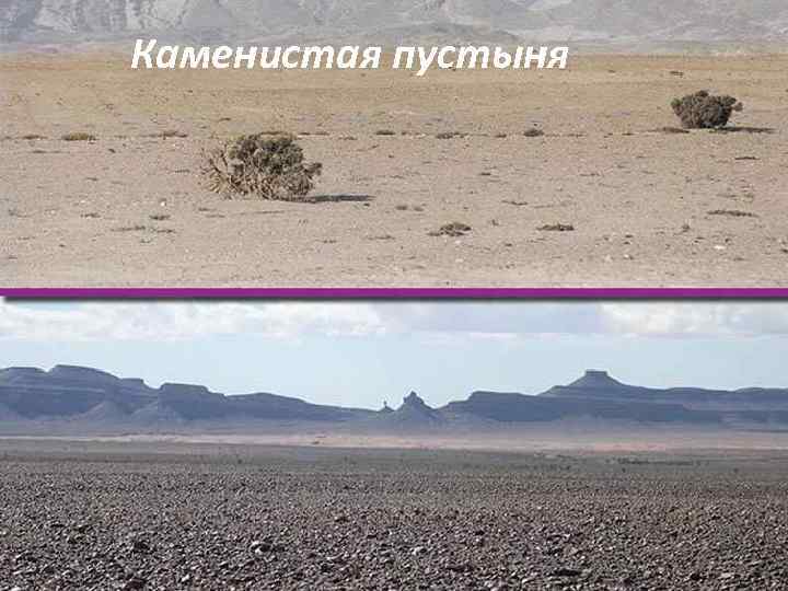 Каменистая пустыня 