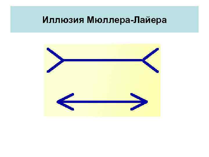 Иллюзия Мюллера-Лайера 