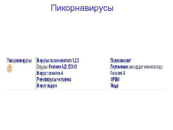 Пикорнавирусы 