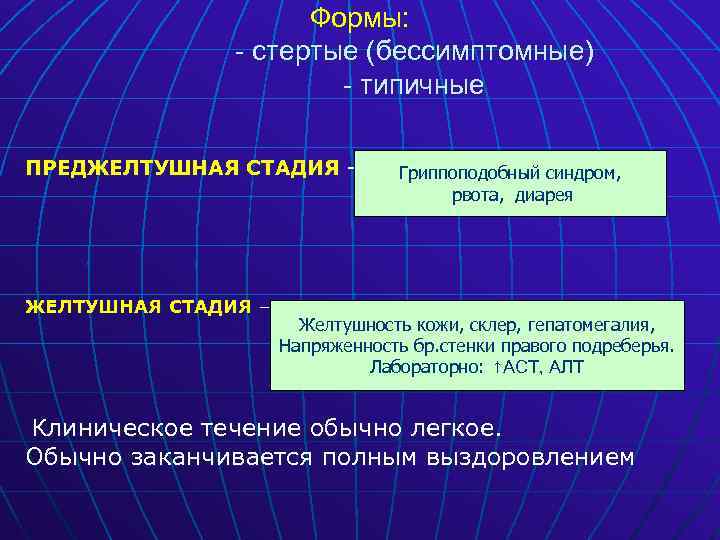Формы: - стертые (бессимптомные) - типичные ПРЕДЖЕЛТУШНАЯ СТАДИЯ – Гриппоподобный синдром, рвота, диарея Желтушность