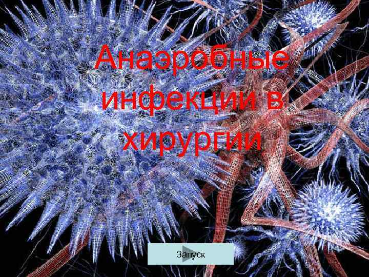 Анаэробные инфекции в хирургии Запуск 