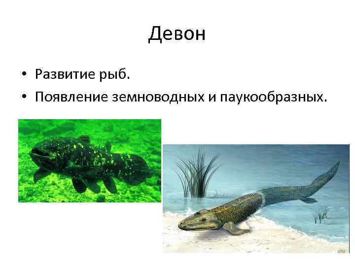 Девон • Развитие рыб. • Появление земноводных и паукообразных. 