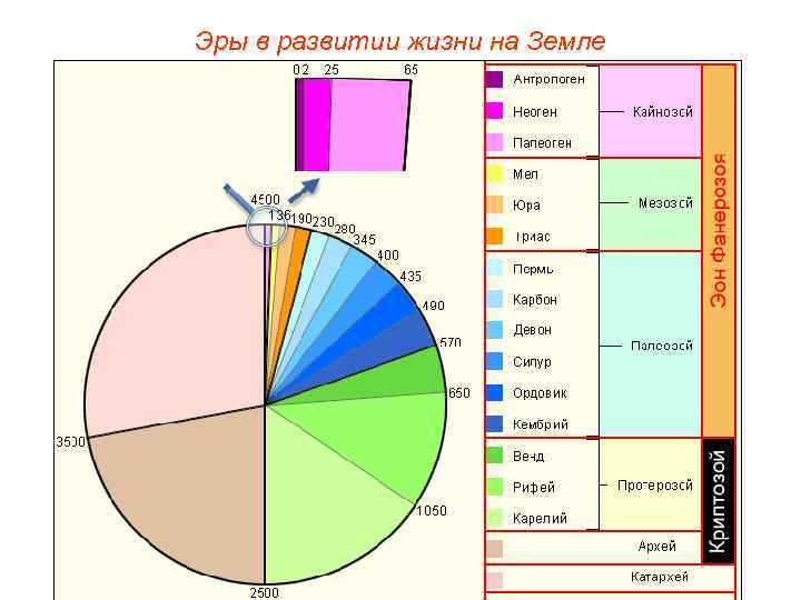 Эры в развитии жизни на Земле 