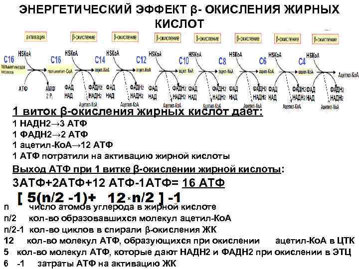 Составить схему участия усиленного перекисного окисления липидов в развитии патологии нейронов