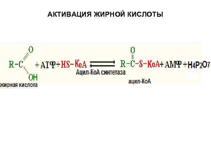 АКТИВАЦИЯ ЖИРНОЙ КИСЛОТЫ 