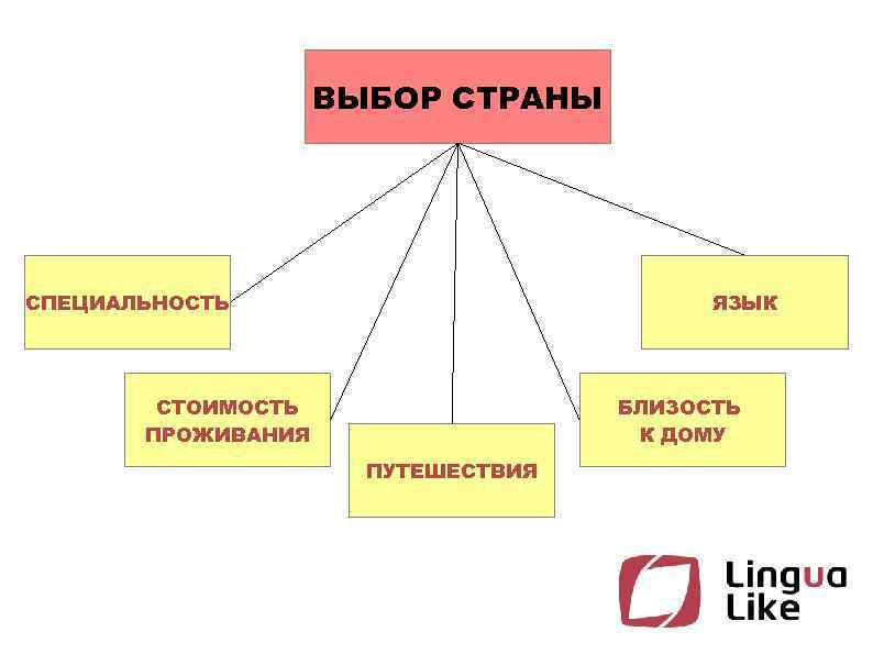 Язык специальности