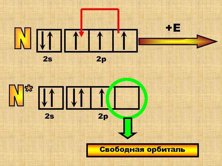    +Е 2 s  2 р   Свободная орбиталь 