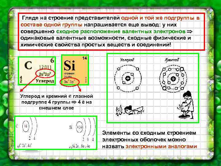 Глядя на строение представителей одной и той же подгруппы в составе одной группы напрашивается