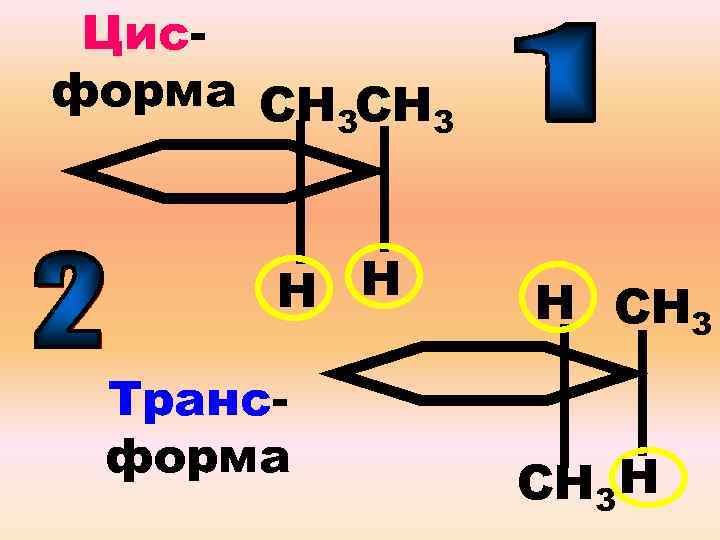Цисформа СН СН 3 3 Н Н Трансформа Н СН 3 Н 