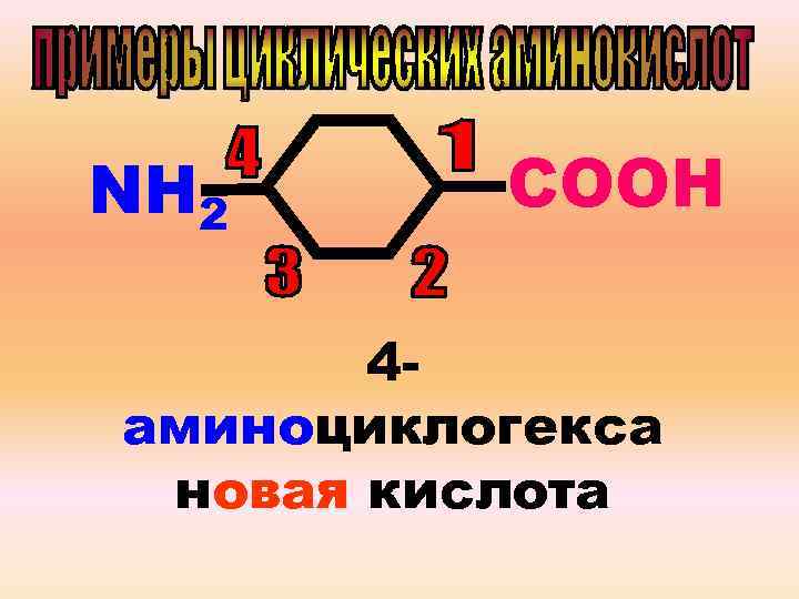 NН 2 СOOН 4 аминоциклогекса новая кислота 