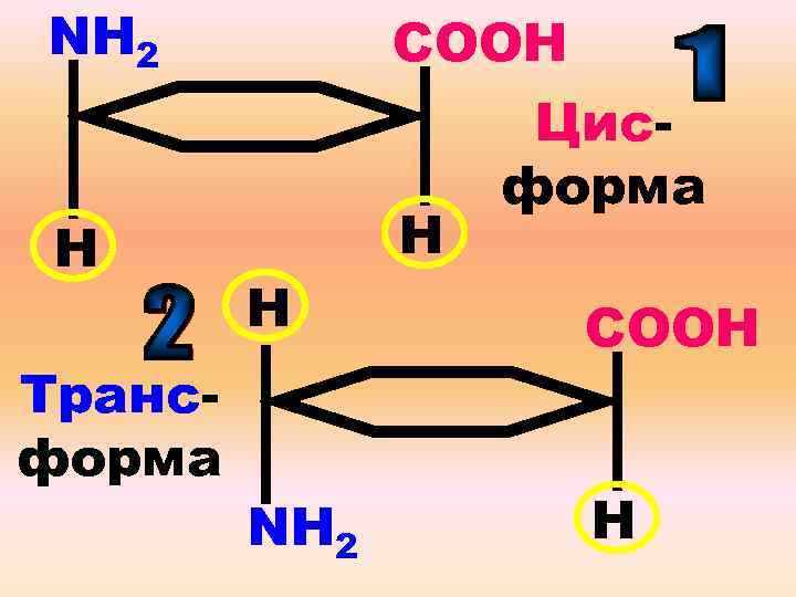 NН 2 Н Трансформа Н NН 2 СOOН Цисформа Н СOOН Н 