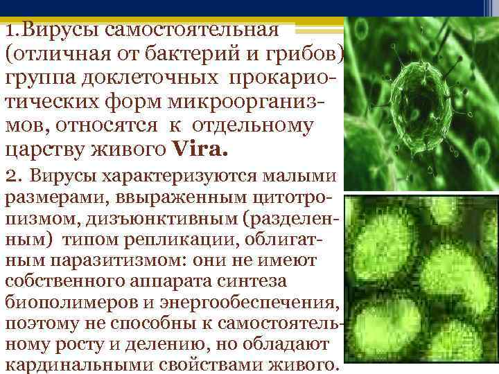 1. Вирусы самостоятельная (отличная от бактерий и грибов) группа доклеточных прокариотических форм микроорганизмов, относятся
