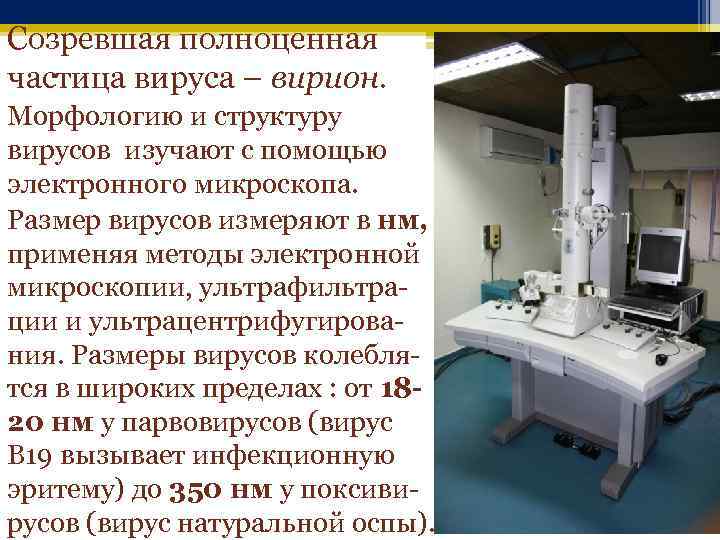 Созревшая полноценная частица вируса – вирион. Морфологию и структуру вирусов изучают с помощью электронного
