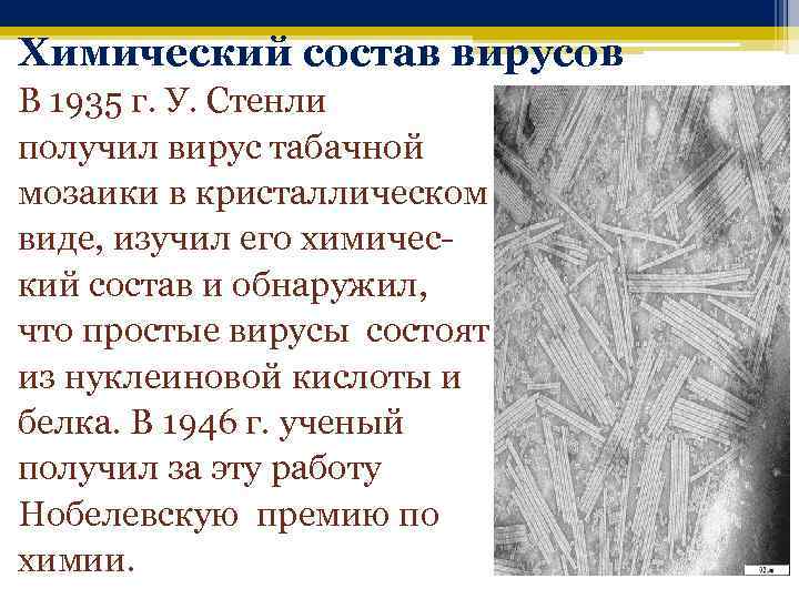 Химический состав вирусов В 1935 г. У. Стенли получил вирус табачной мозаики в кристаллическом