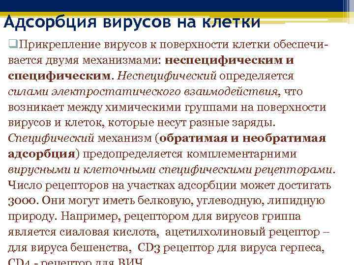 Адсорбция вирусов на клетки q. Прикрепление вирусов к поверхности клетки обеспечивается двумя механизмами: неспецифическим