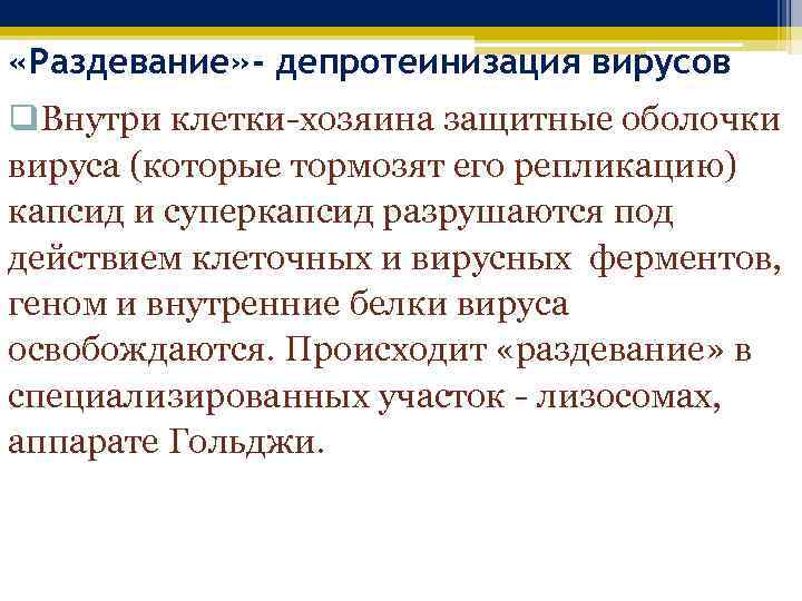  «Раздевание» - депротеинизация вирусов q. Внутри клетки-хозяина защитные оболочки вируса (которые тормозят его