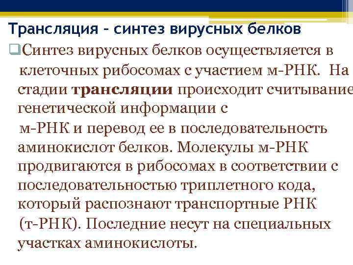 Трансляция – синтез вирусных белков q. Синтез вирусных белков осуществляется в клеточных рибосомах с
