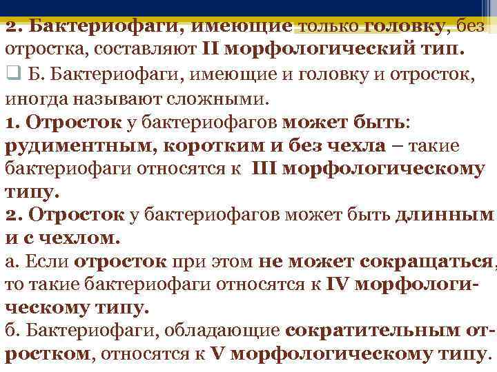 2. Бактериофаги, имеющие только головку, без отростка, составляют II морфологический тип. q Б. Бактериофаги,
