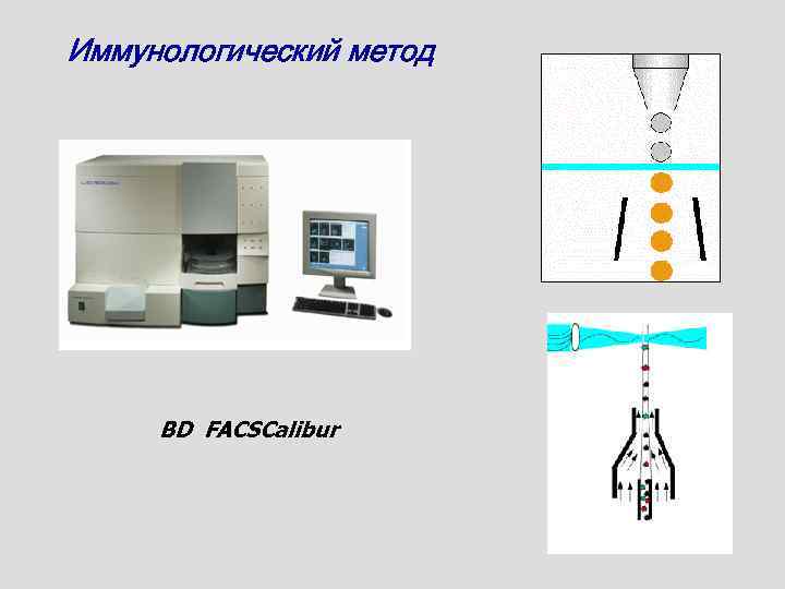 Иммунологический метод BD FACSCalibur 