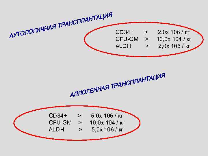 С ТРАН НАЯ А Ч ЛОГИ УТО Я И НТАЦ ПЛА CD 34+ >